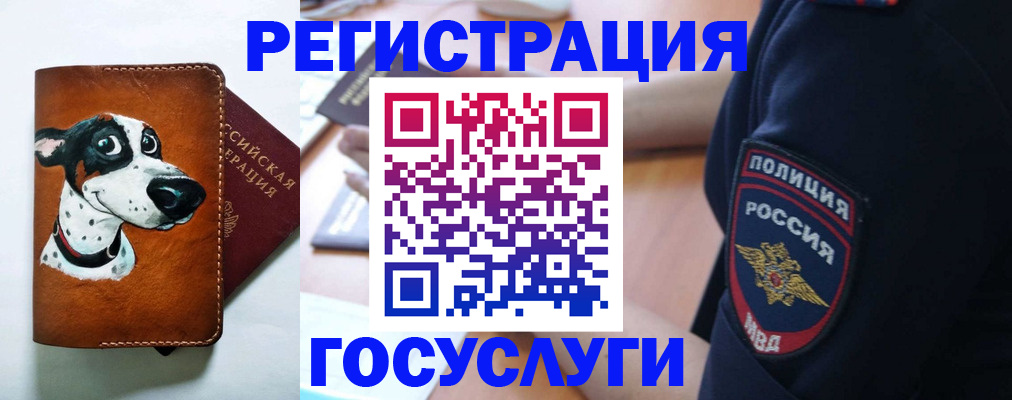 временная регистрация в квартире в Зеленоградске